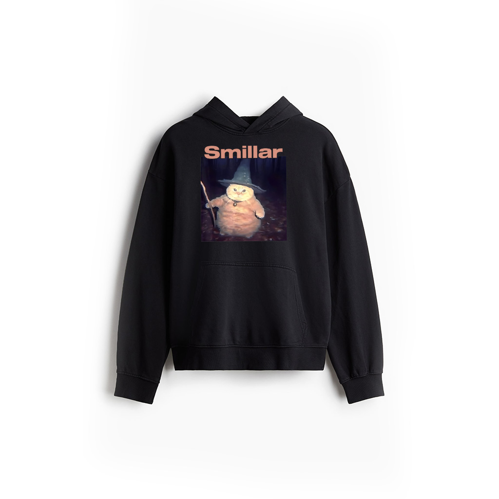 Cheeseball The Wizard Cat Vintage 90S Orange Cat Witch Cat Hoodie