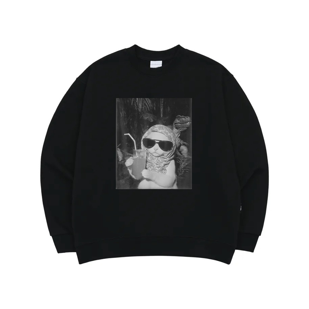 Chill And Cool Cat Drinking Fruit Selfie With Dinosaur T Rex Sweatshirt