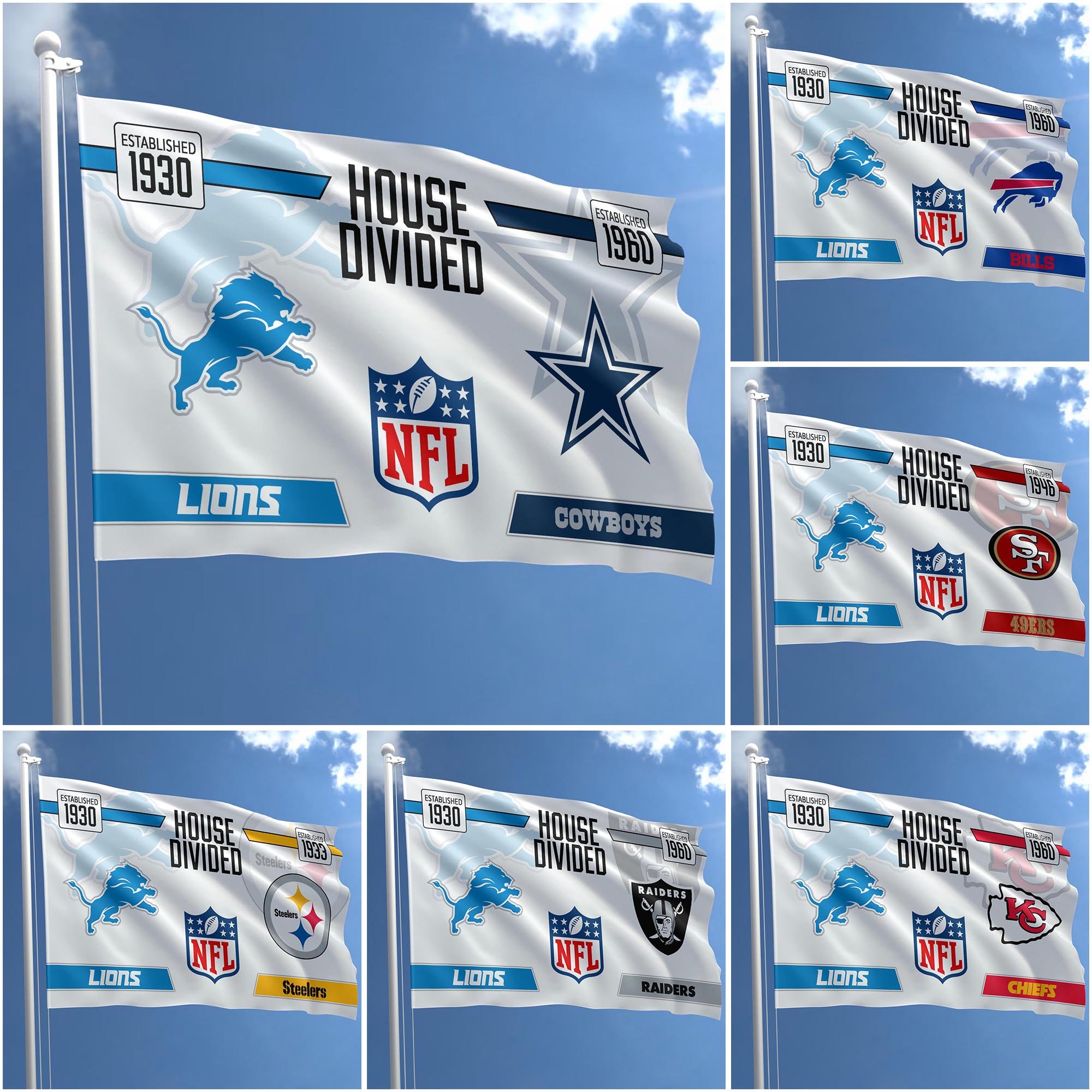 Detroit Lions Flag 3X5ft Choose Any Team, House Divided Flag, Home Decors