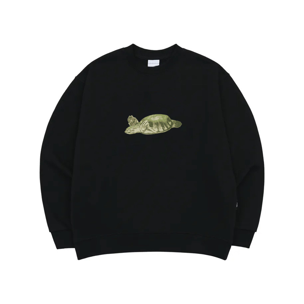 Fly River Turtle Reptile Designs For Turtle Lovers Premium Sweatshirt