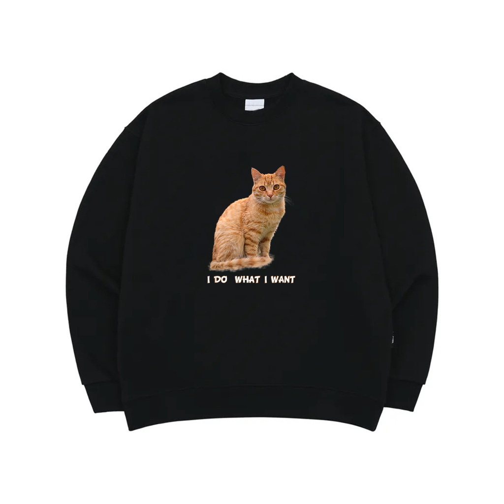 I Make What I Want Funny Orange Tabby Cat Lovers Sweatshirt