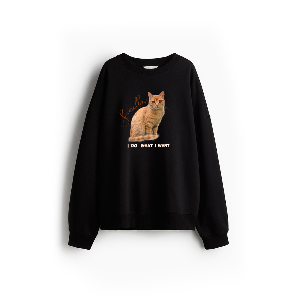 I Make What I Want Funny Orange Tabby Cat Lovers Sweatshirt