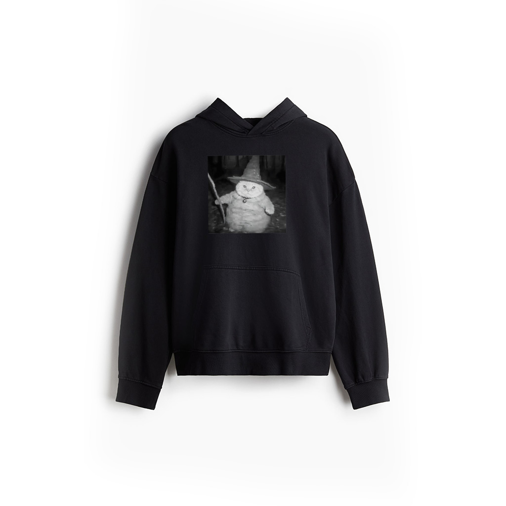 Magical Cat Wizard Meme Charm Men Women Kids Hoodie