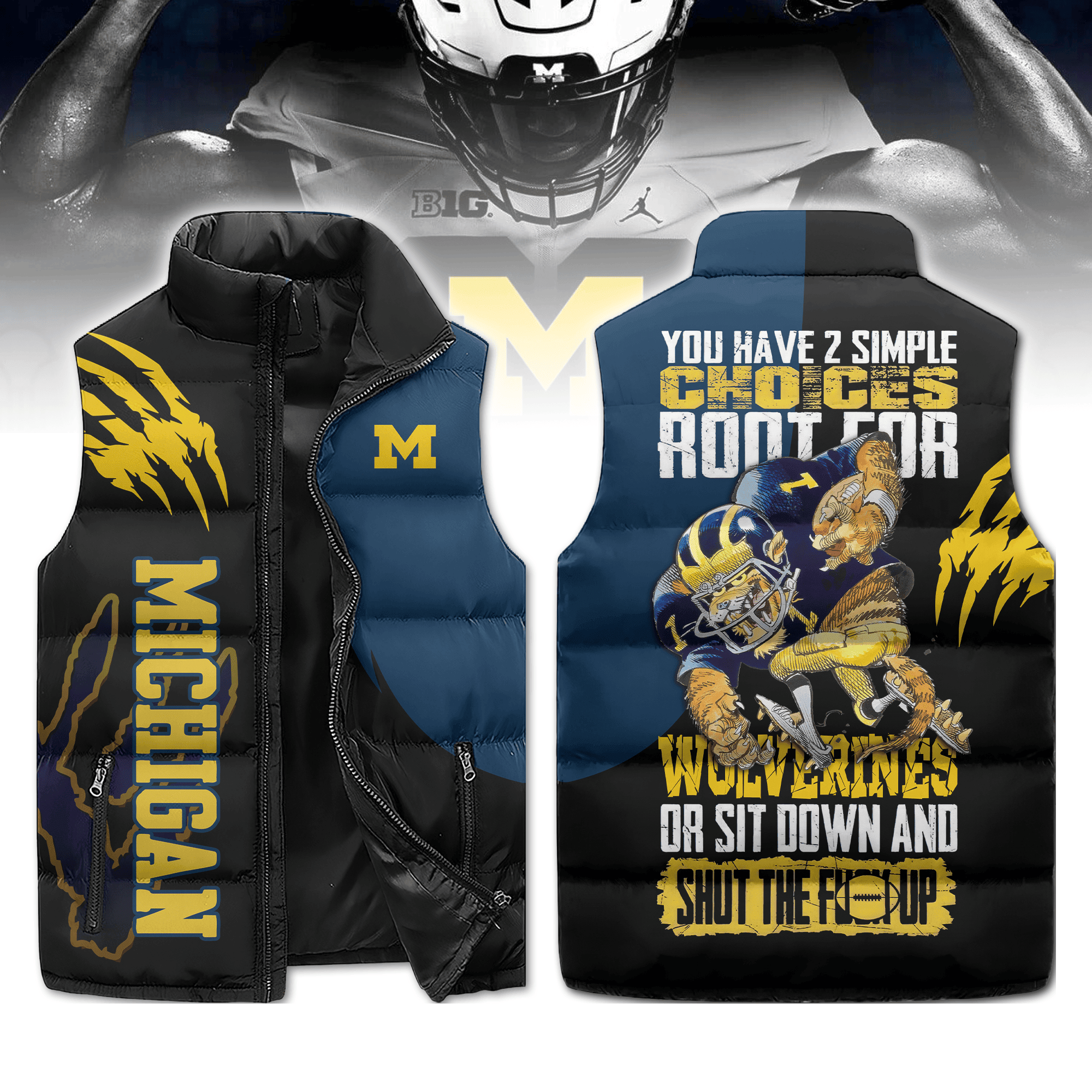 Michigan Wolverines NCAA