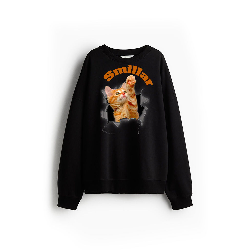 Orange Cat Torn Cloth Funny Gifts Cat Dad Cat Mom, Cat Lover Sweatshirt
