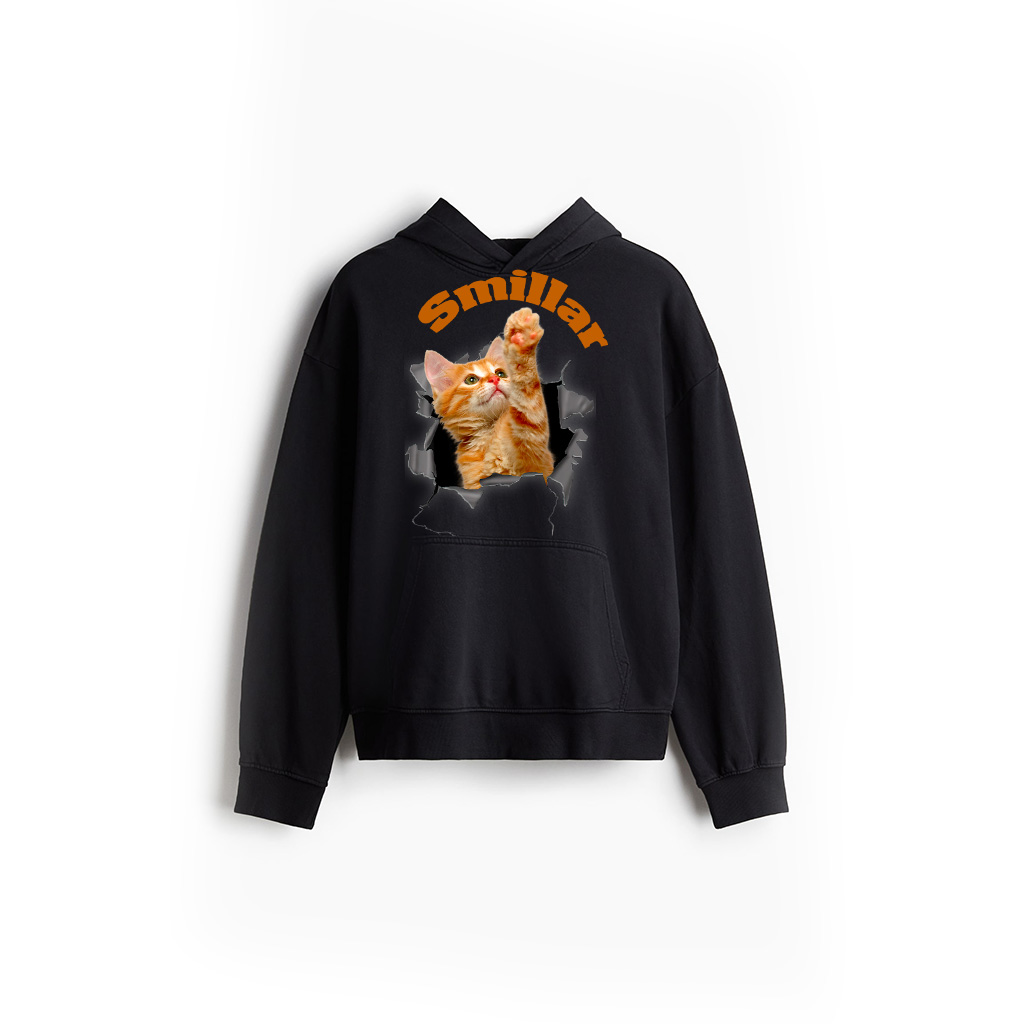 Orange Cat Torn Cloth Funny Gifts Cat Dad Cat Mom, Cat Lover Hoodie