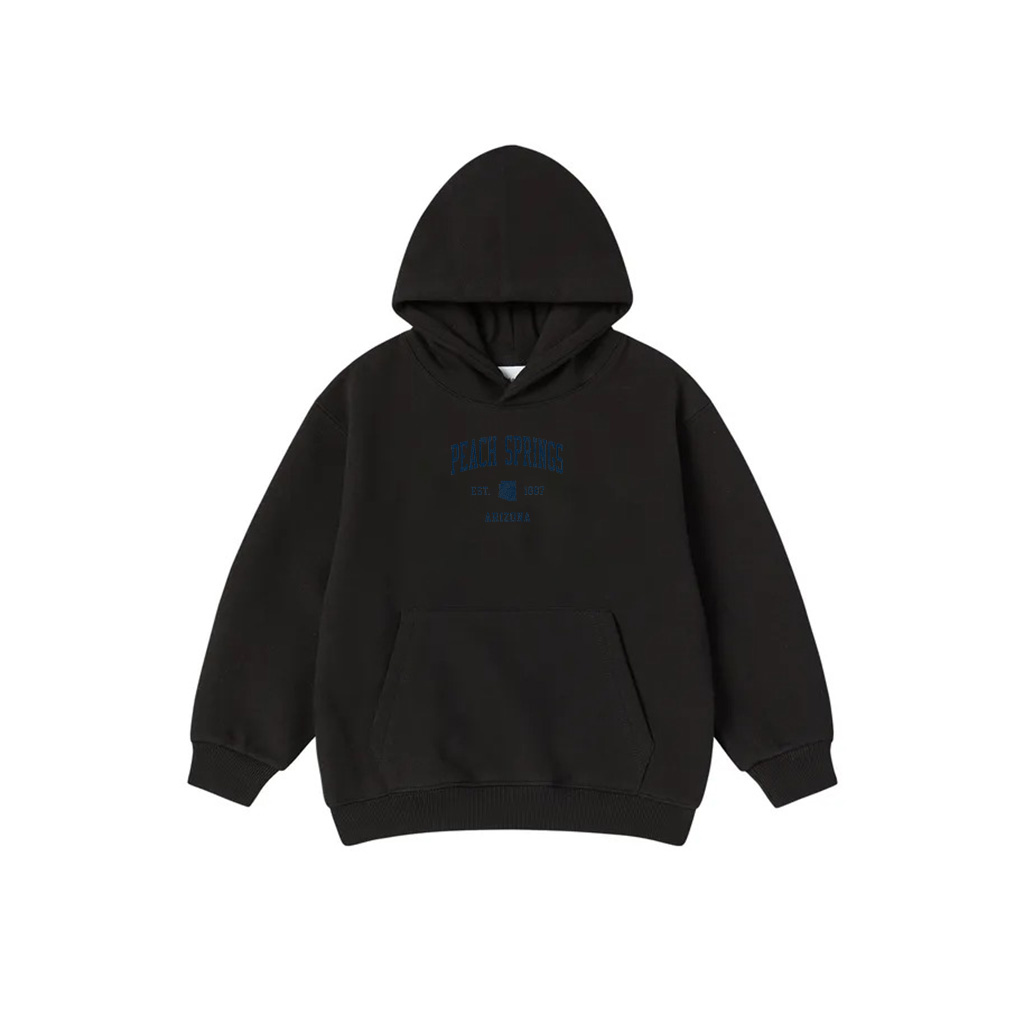 Peach Springs AZ Vintage Athletic Sports JSN1 Premium Hoodie