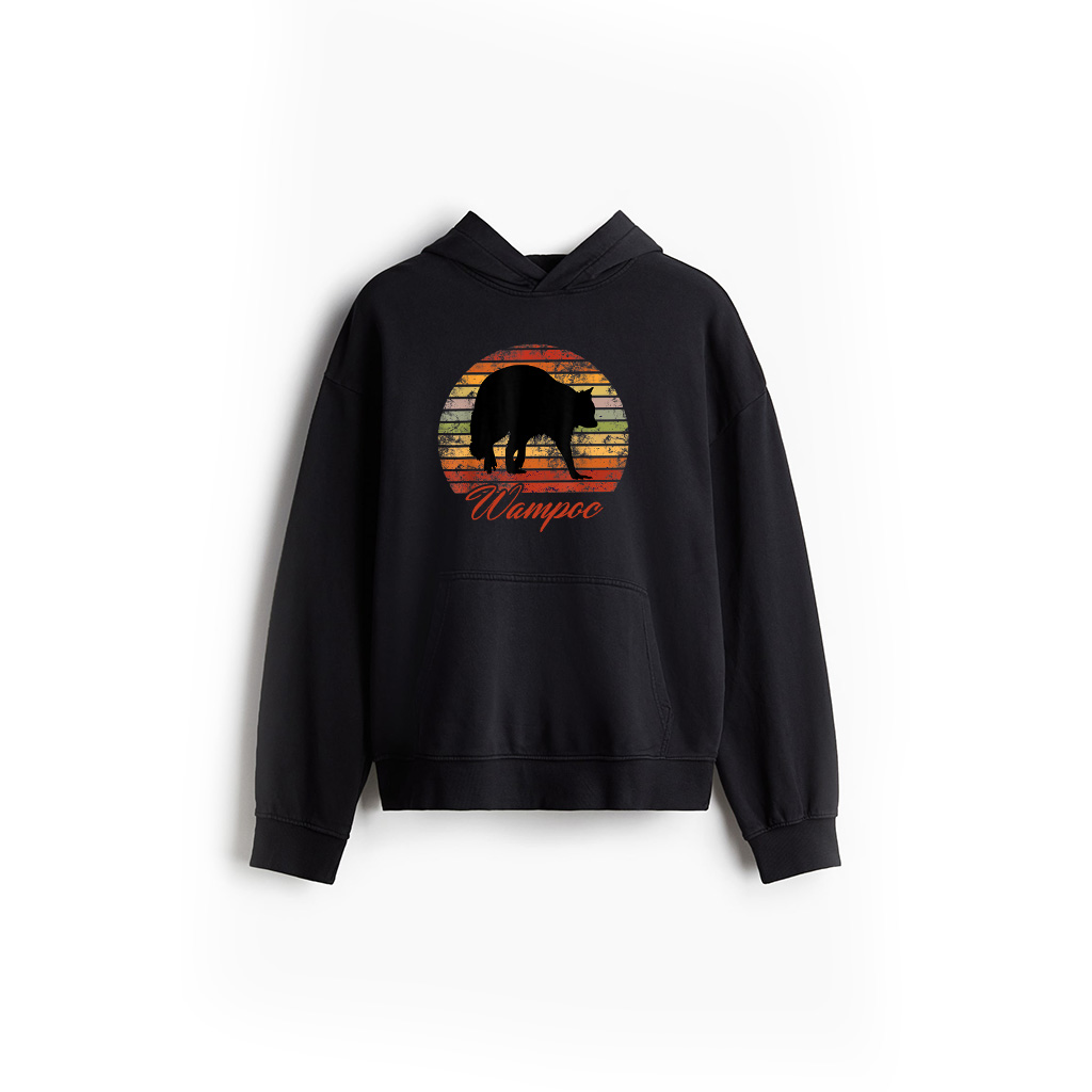 Retro Vintage Racoon Silhouette Hoodie