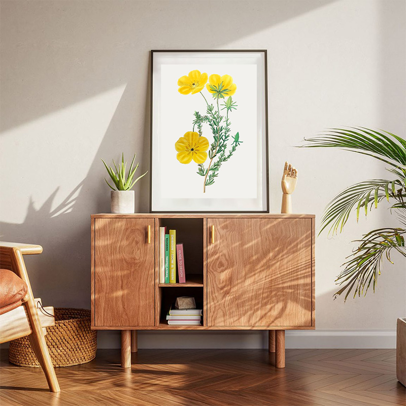Thalamiflorae Flower Yellow Poster