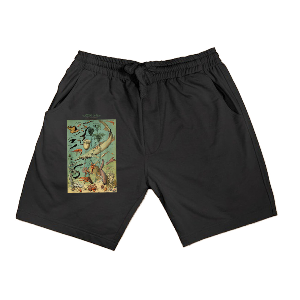 Vintage Inspired Ocean Sealife Chart Shorts